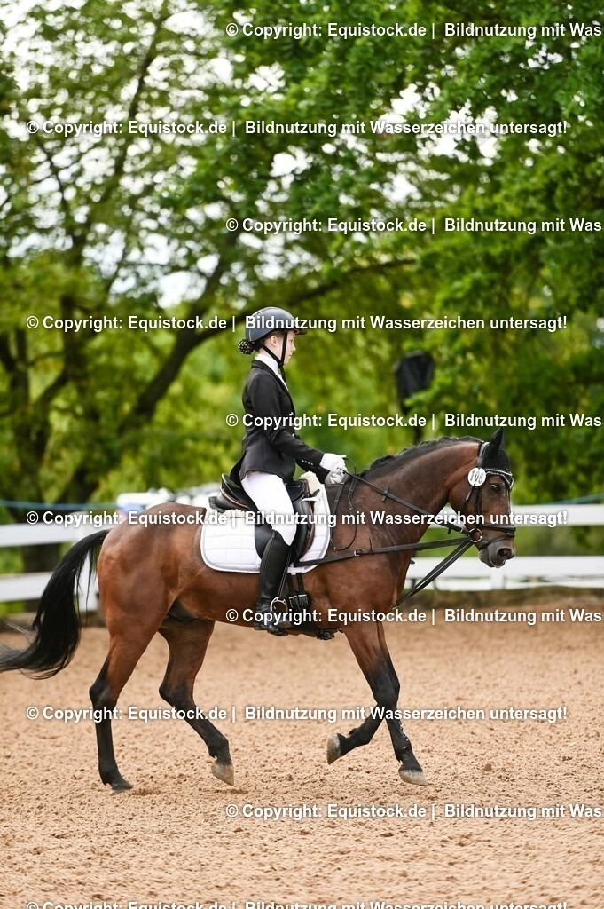 20230716_10-2_Reiter-WB Schritt - Trab - Galopp_0124 | equistock