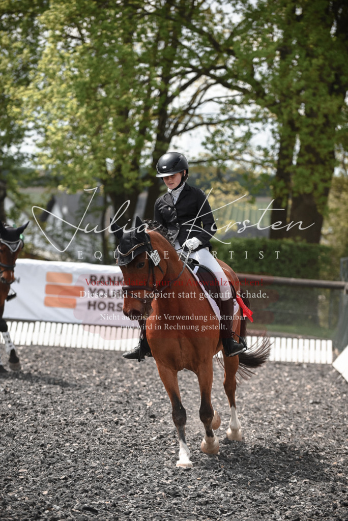 20230513_JK-Röhrsdorf-14-1048 | Pferde- und Turnierfotografie in Westsachsen. Pferdeportraits, Auftragszeichnungen und intuitive Kunst.