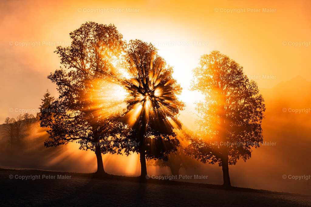 Landschaft_Divers-15-Bearbeitet | piet_flosse