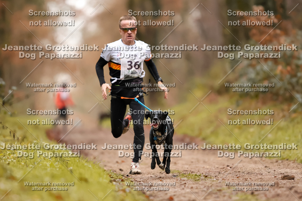 Dog Paparazzi - Speedhunter Mannheim  2025-89 | Dog Paparazzi Jeanette Grottendiek Fotografie & Videografie