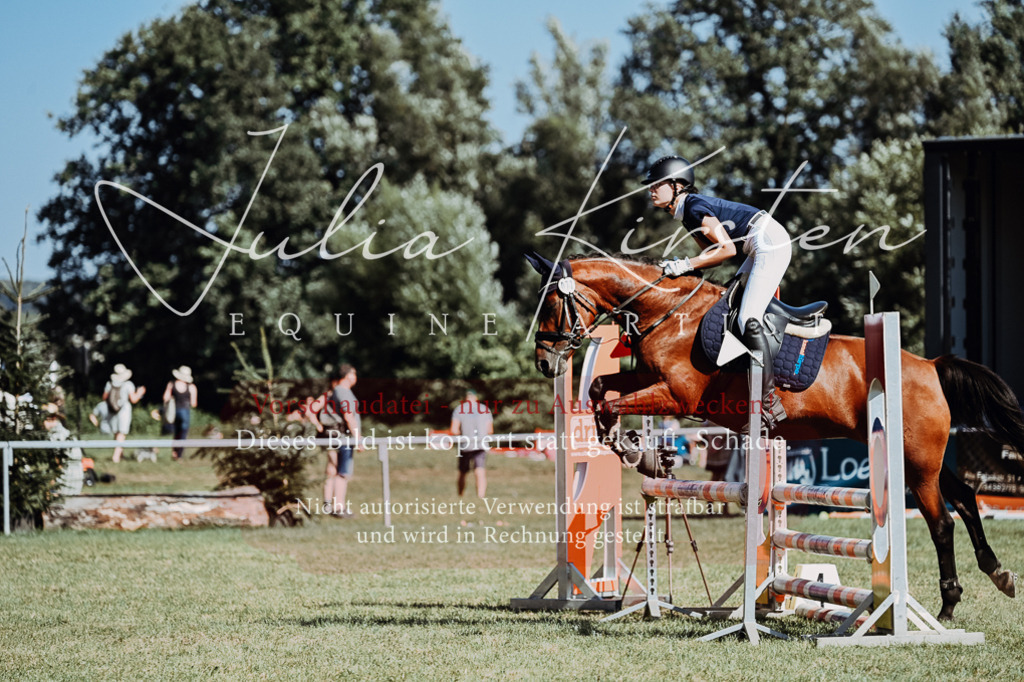 DSC_6955 | Pferde- und Turnierfotografie in Westsachsen. Pferdeportraits, Auftragszeichnungen und intuitive Kunst.
