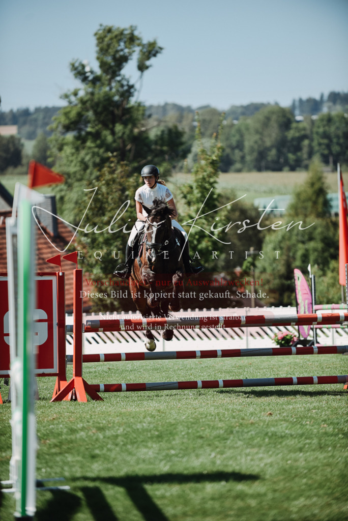 DSC_3140 | Pferde- und Turnierfotografie in Westsachsen. Pferdeportraits, Auftragszeichnungen und intuitive Kunst.