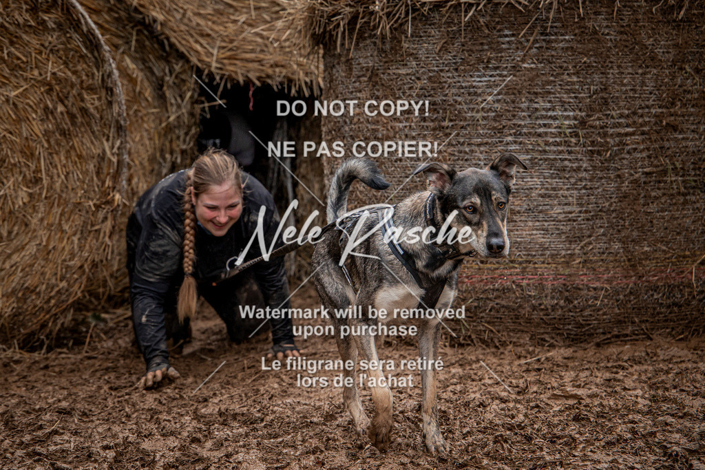 nelerasche_Hunsrück_So11-12_434 | nelerasche