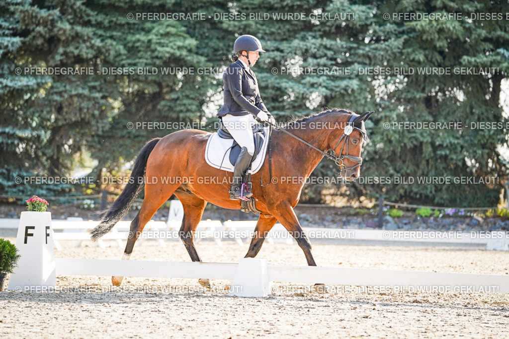 DSC09074 | Pferdegrafie