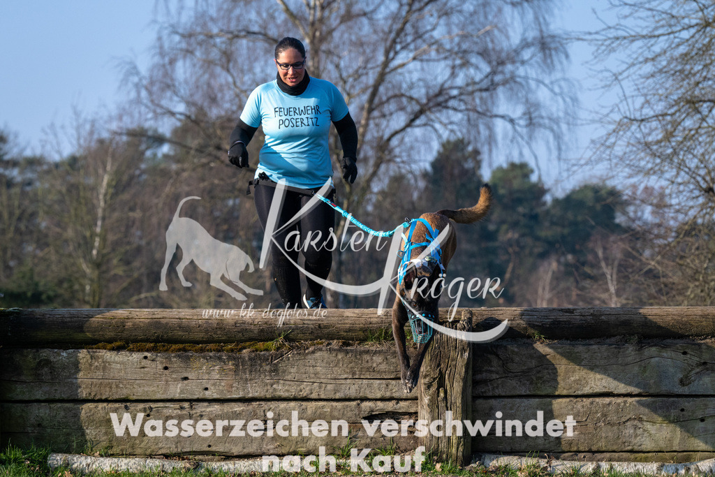 _ZZ92933 | kk-dogfotos