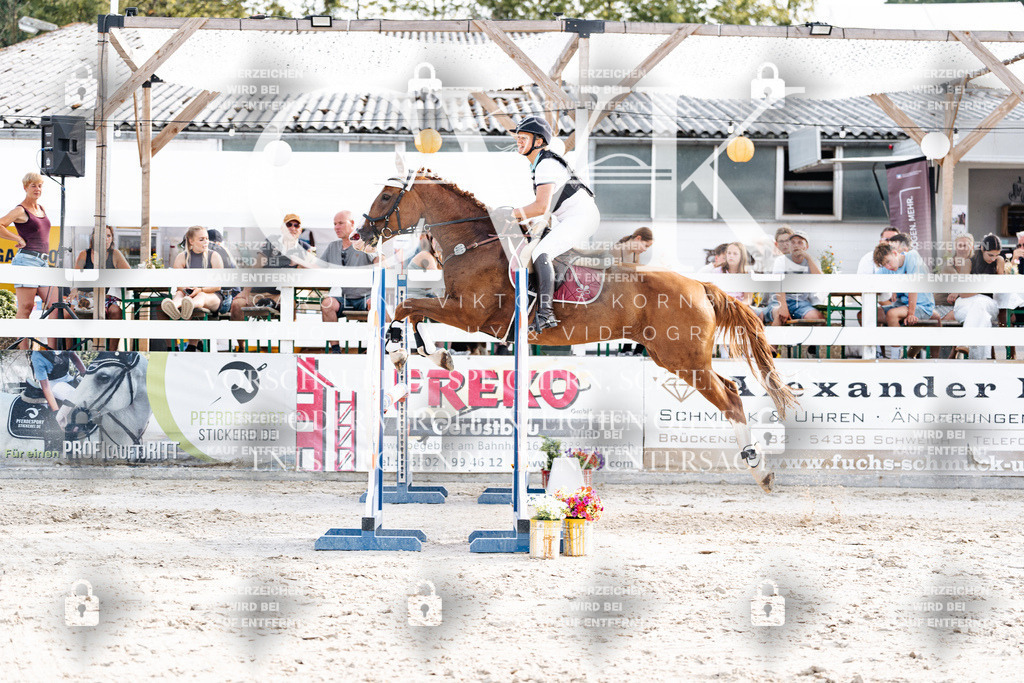 CK906689 | Turnierfotografie Pferdefotografie Trier Rheinland-Pfalz Pferdesport Reitsport Tierfotografie Sportfotografie Pferdevideo Pferdevideografie Equestrianvideography equestrianphotography  - Realisiert mit Pictrs.com
