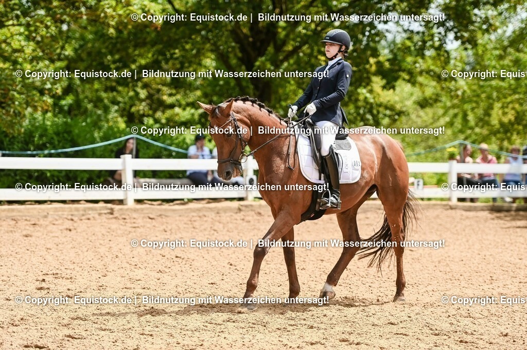20230716_03_Dressurprfg. Kl.L - Tr._0376 | equistock