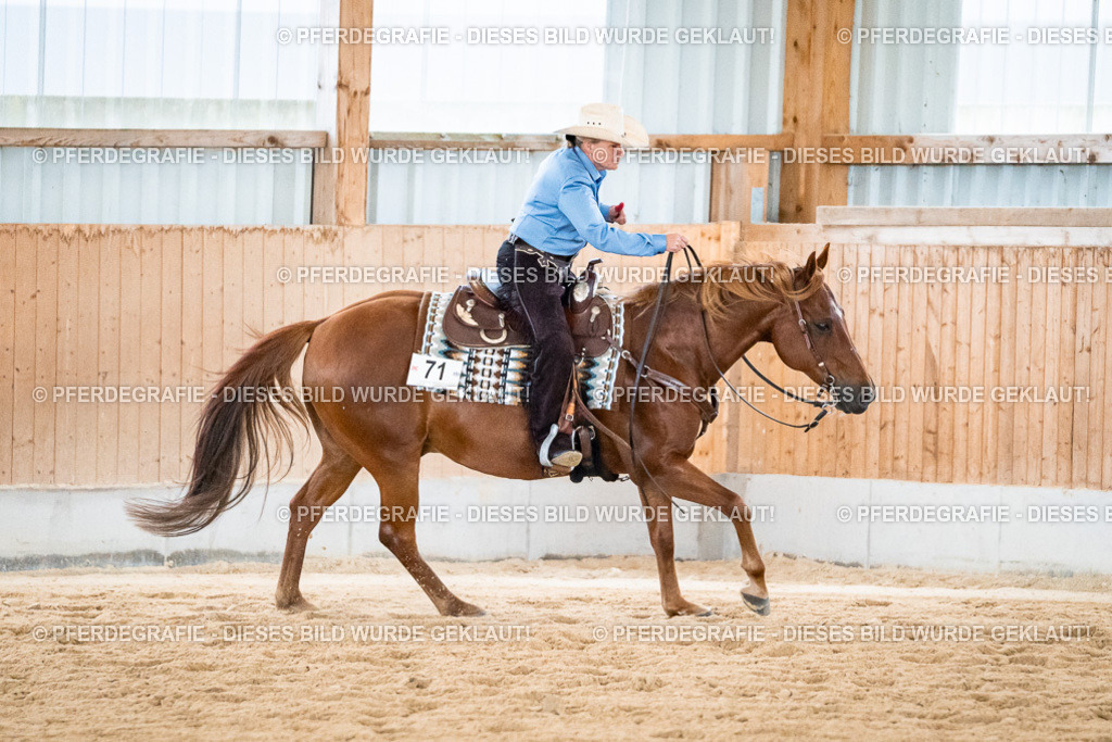 DSC02964 | Pferdegrafie