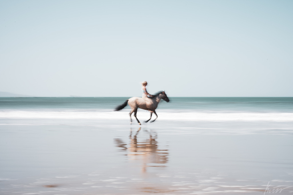 _DSC1217-3 | In meinem Onlineshop biete ich nur sehr kritisch ausgewählte Fotografien an. Diese sind von meinen Reisen oder Kurztrips. Ich habe sie ausgewählt, da diese meiner Meinung Nach wunderbare Wandbilder darstellen.  - Realisiert mit Pictrs.com