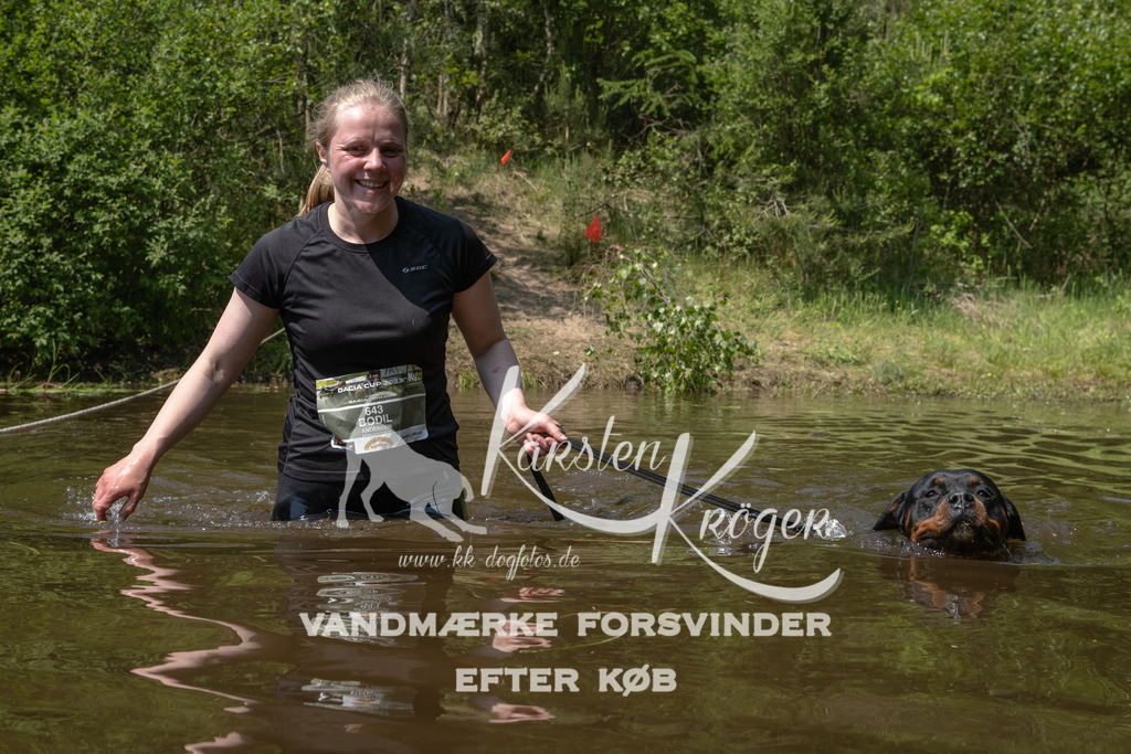 1318DKK993809 | kk-dogfotos