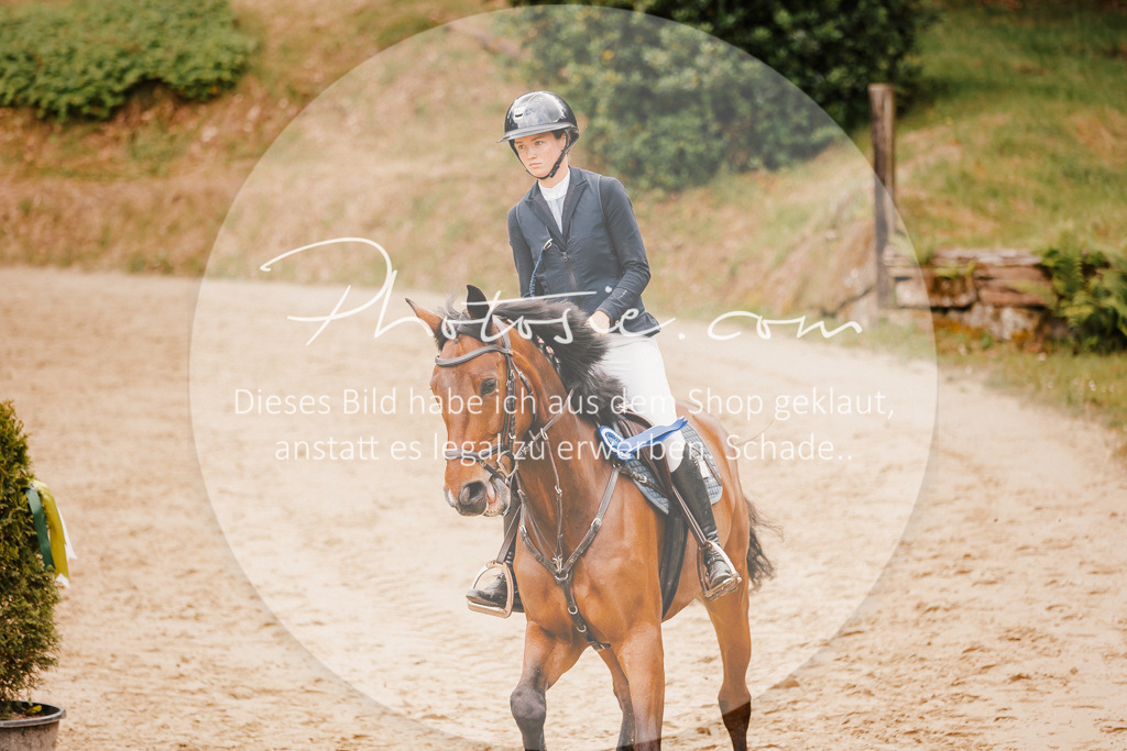 3I6A2517 | Stimmungsvolle Portraits und Reitsportfotografie im Ruhrgebiet und im Münsterland.

Pferdefotografie, Hundefotografie, Tierfotografie, Reportagen, Portraits von Tier und Mensch, Turnierfotografie in Bochum, Recklinghausen, Marl, Haltern am See, Dülmen.. - Realisiert mit Pictrs.com