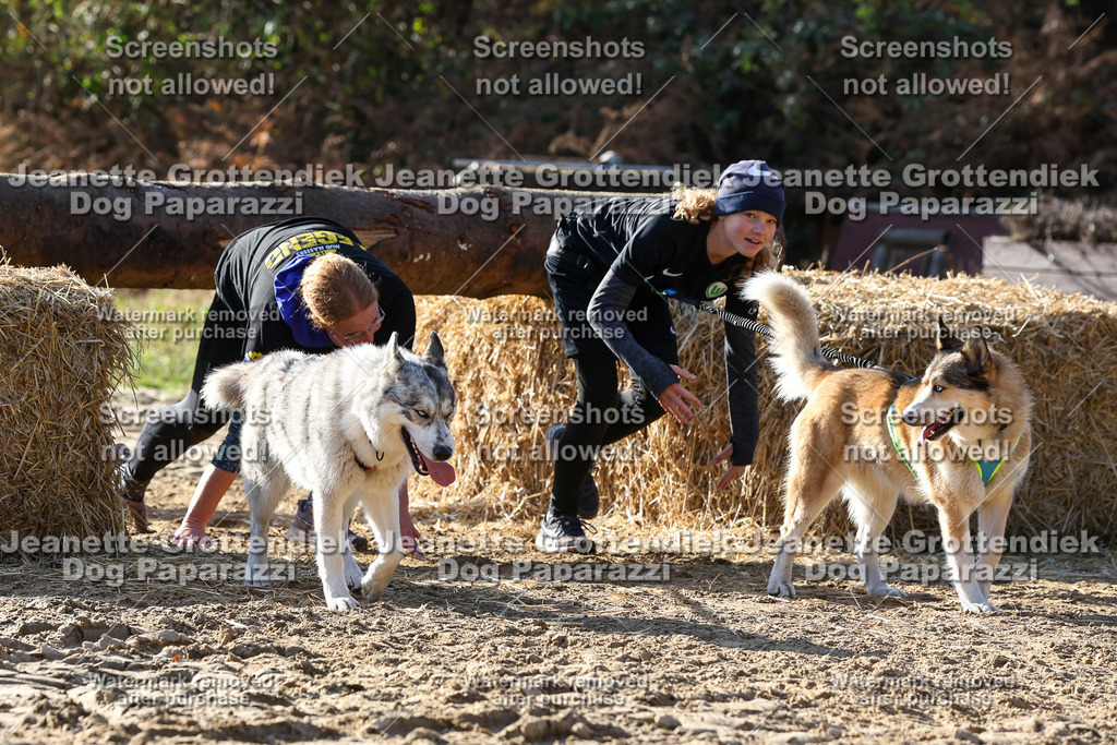 Dog Paparazzi - Strongdog 10-25-6003 | Dog Paparazzi Jeanette Grottendiek Fotografie & Videografie - Realisiert mit Pictrs.com