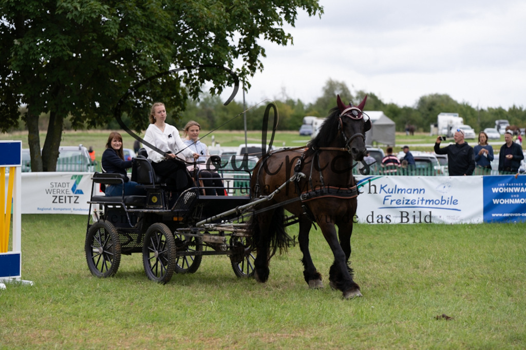 A7V05825 | Pferdefotograf