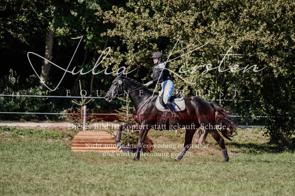 DSC_3522 | Pferde- und Turnierfotografie in Westsachsen. Pferdeportraits, Auftragszeichnungen und intuitive Kunst.
