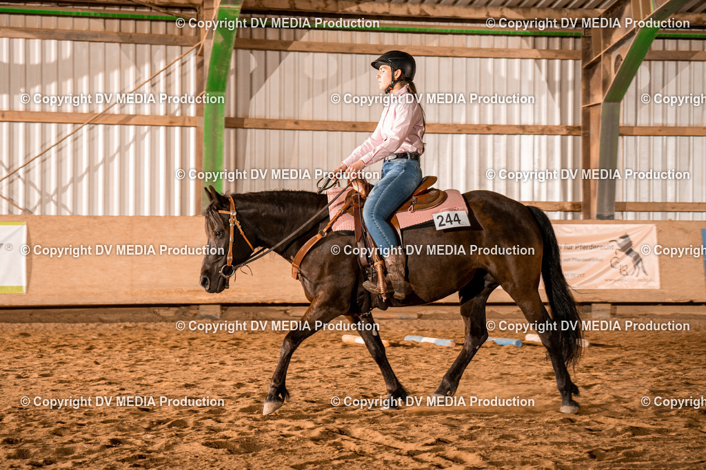 BAL03181 | dv-media-shop - Realisiert mit Pictrs.com