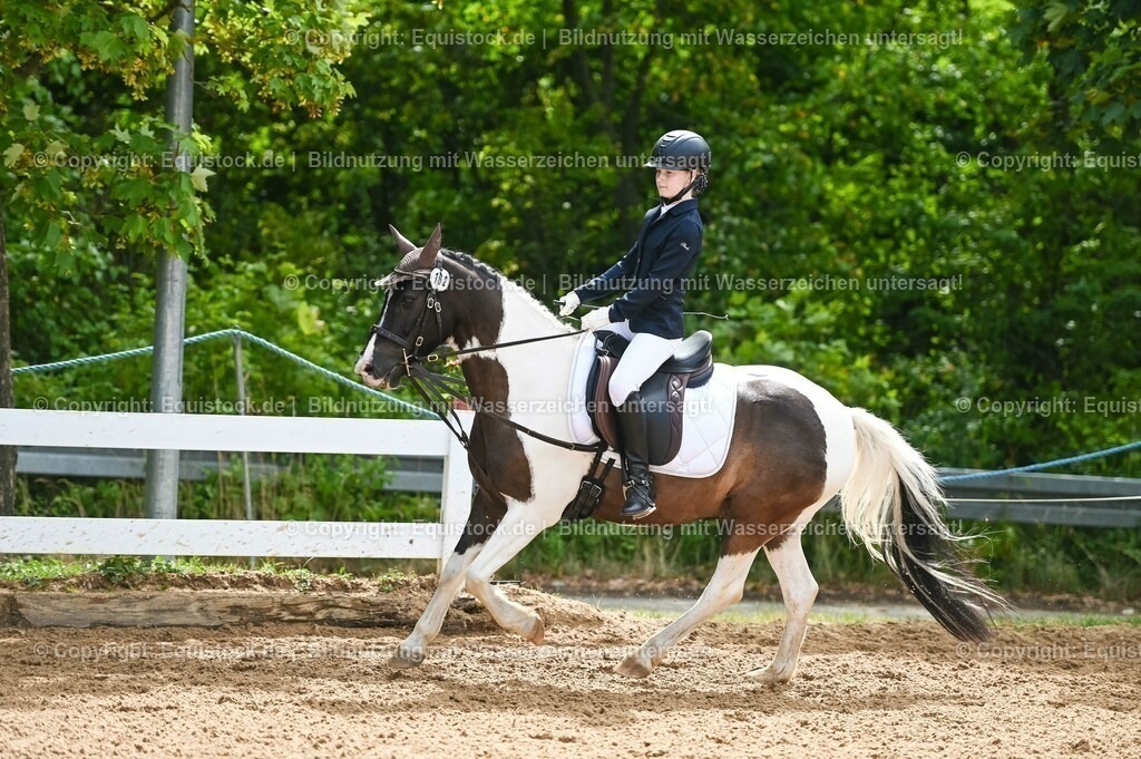 20230716_10-2_Reiter-WB Schritt - Trab - Galopp_0176 | equistock