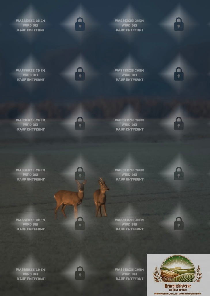 Rehmorgen | Professioneller Fotograf mit 10 Jahren Erfahrung. Landschafts- und Hochzeitsfotografie im Oderbruch. Workshops und beeindruckende Bilder für besondere Momente.