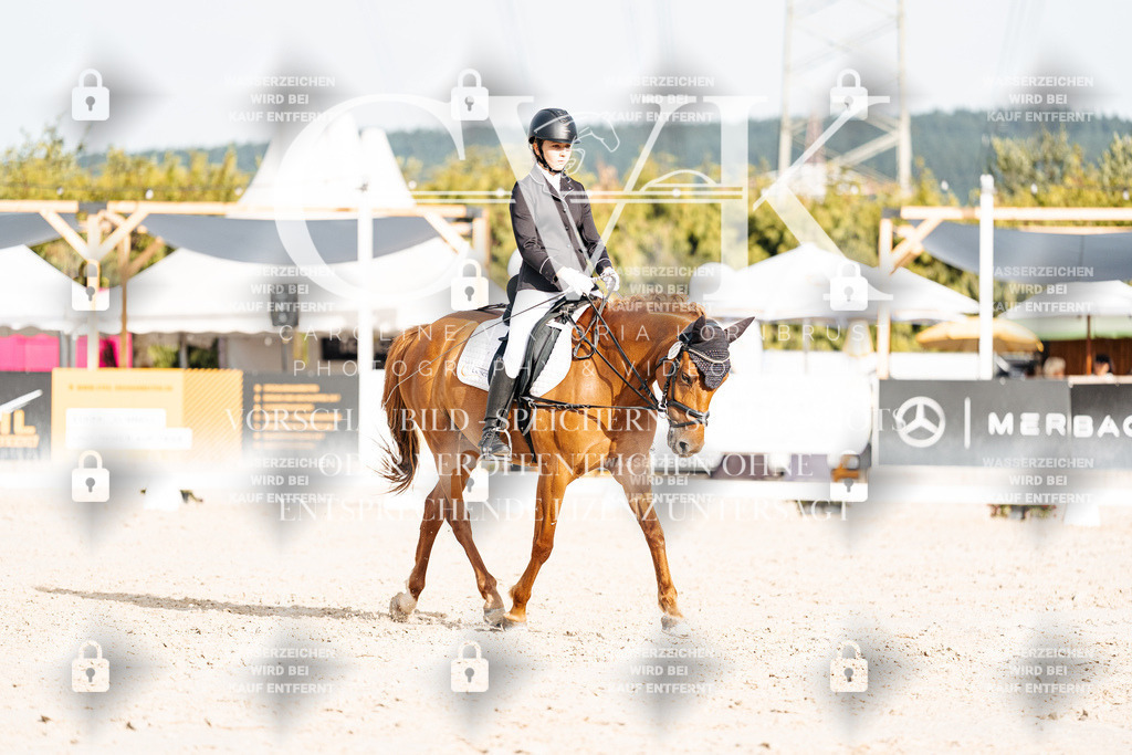 CK904492 | Turnierfotografie Pferdefotografie Trier Rheinland-Pfalz Pferdesport Reitsport Tierfotografie Sportfotografie Pferdevideo Pferdevideografie Equestrianvideography equestrianphotography  - Realisiert mit Pictrs.com
