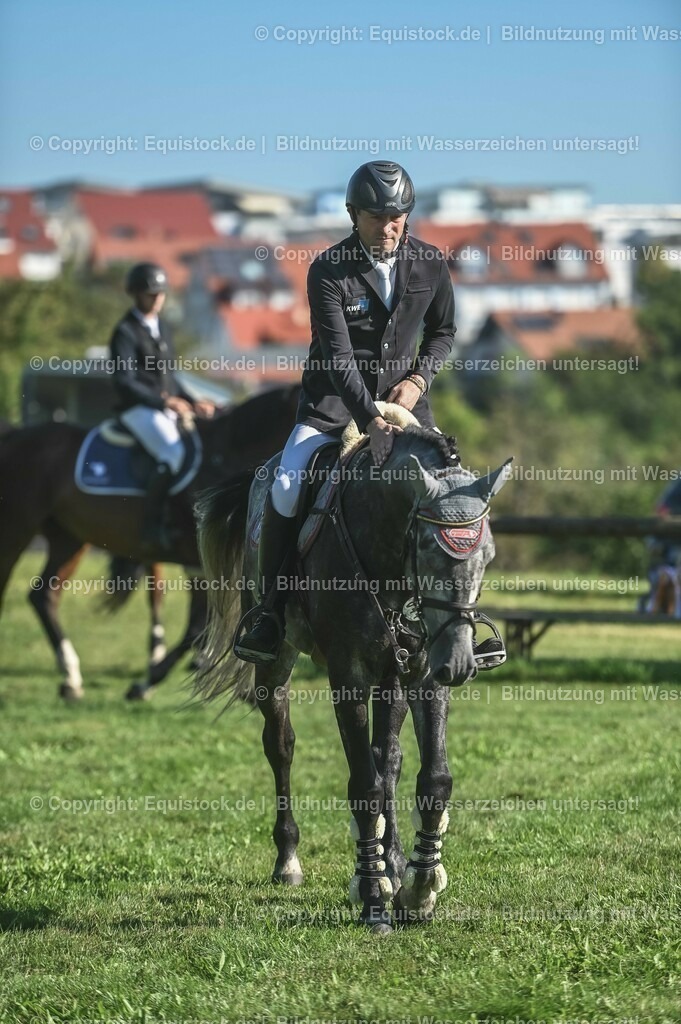 20230908_14-15_Springpferde-A_0101 | equistock
