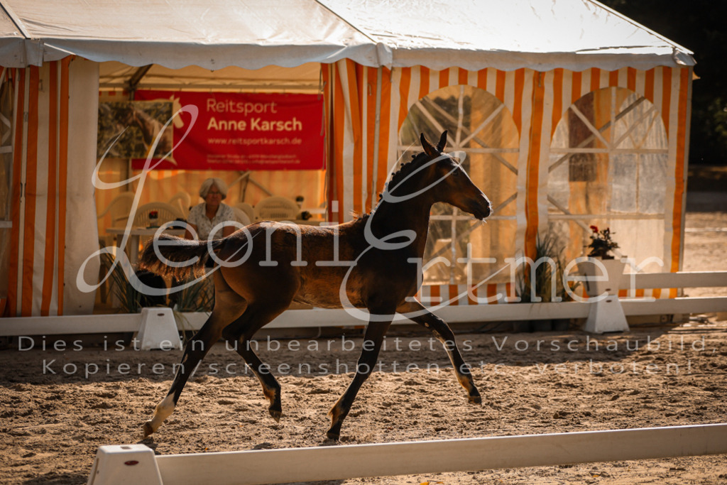 11.DoRP00084 | Leoni Ertmer Photography - Realisiert mit Pictrs.com