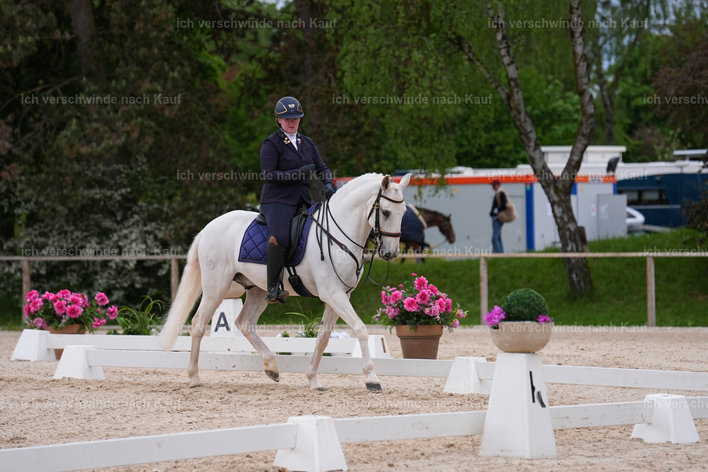 PI26_DR_251_StoibphotographySIN06998.jpg | working equitationturnier fotograf videograf stoibphotography marixx film working equitation deutschland reitsport turnierfotografie eventfotografie equestrian events