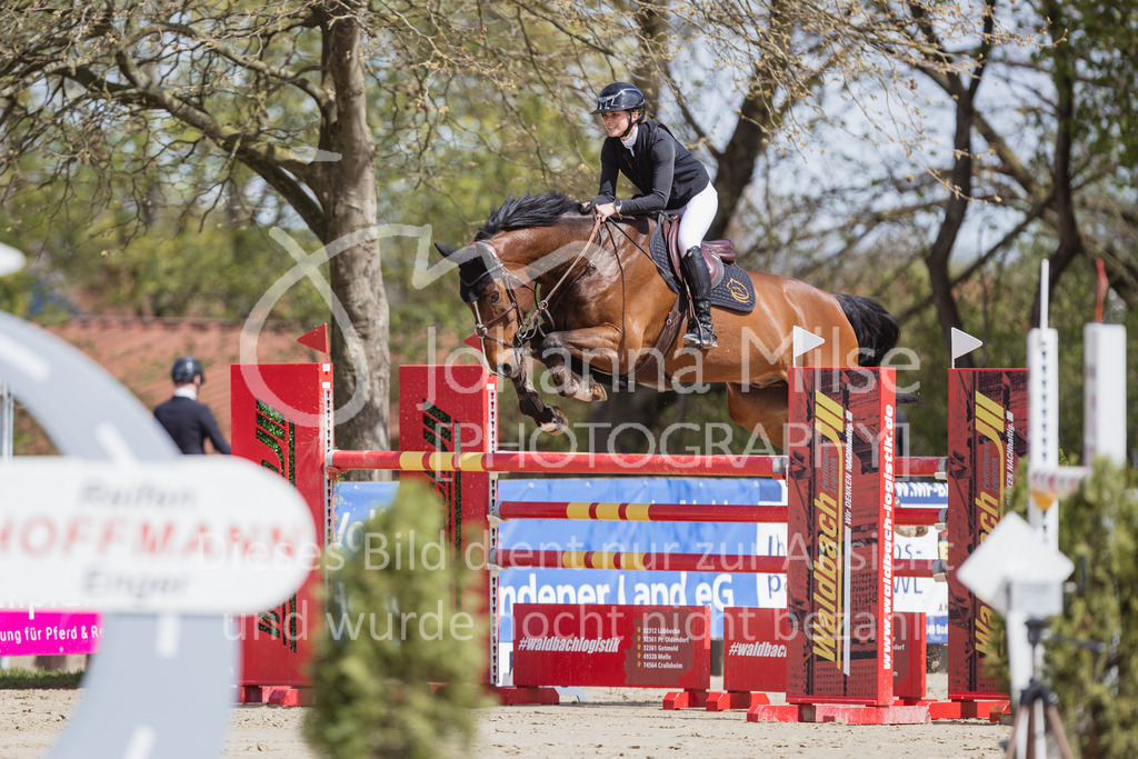 230501_SpengeW_M2St-135 | Deine schönsten Turniermomente als professionelle Fotos! Entdecke hochwertige Pferdesport-Fotografie im Online-Shop. Jetzt Fotos finden & bestellen!