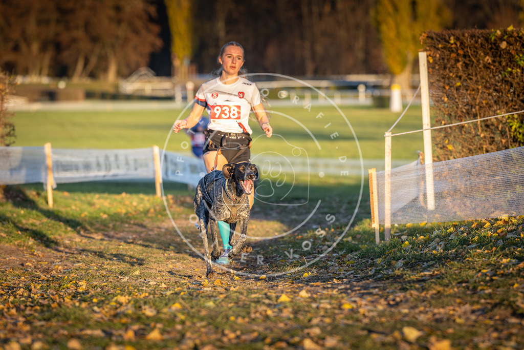 CaniXpix_DV3A5260 | Hundefotografie, Tierfotograf, Pfotenfotografie, Fotoshooting Hund, Hunde Portrait, Hundesport, Hundeportraits, Heideshooting, Hunde, Sportfotograf, Hundefotograf, Turnierhundsport, THS,  - Realisiert mit Pictrs.com