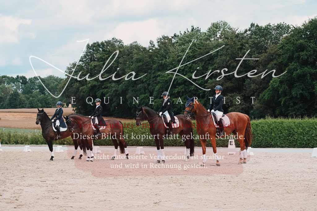 DSC_4401 | Pferde- und Turnierfotografie in Westsachsen. Pferdeportraits, Auftragszeichnungen und intuitive Kunst.