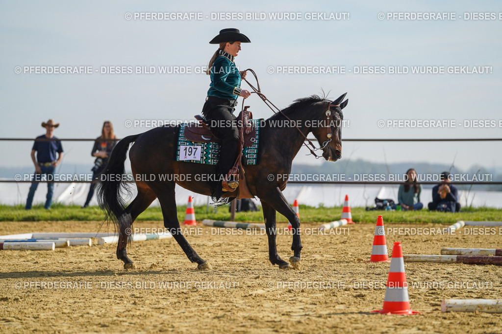 DSC00976 | Pferdegrafie