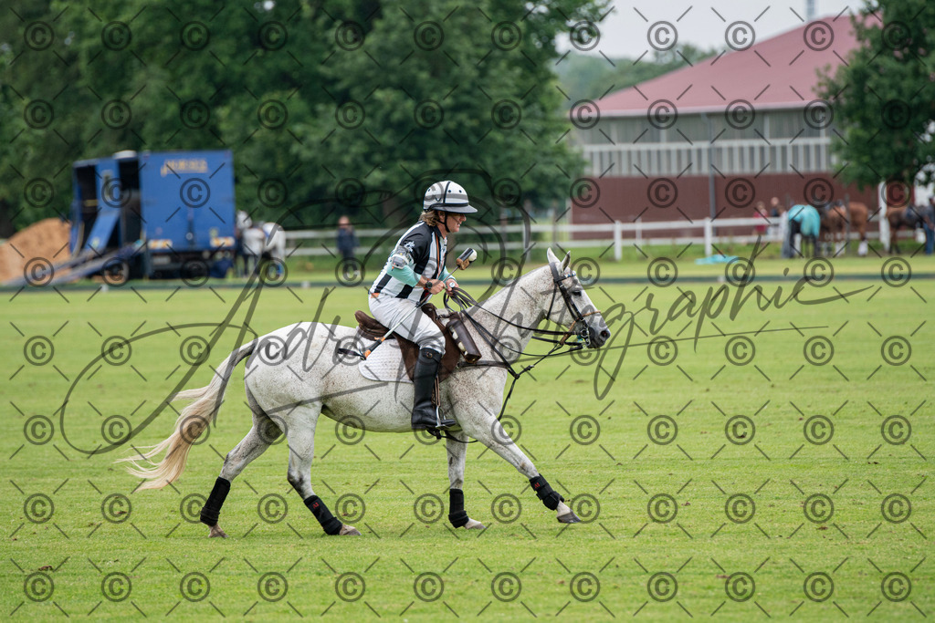 POL_2874 | andre_photographic