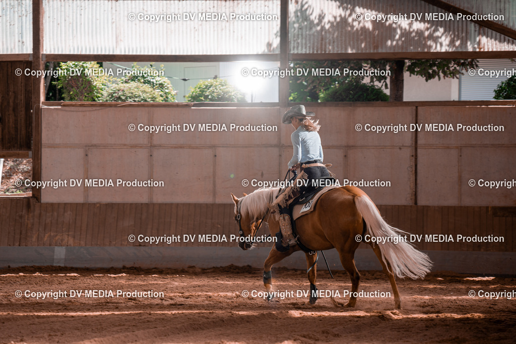 NE100820 | dv-media-shop - Realisiert mit Pictrs.com