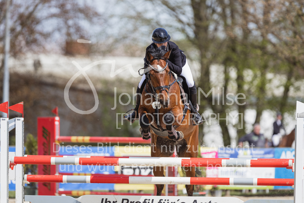 230501_SpengeW_M2St-147 | Deine schönsten Turniermomente als professionelle Fotos! Entdecke hochwertige Pferdesport-Fotografie im Online-Shop. Jetzt Fotos finden & bestellen!