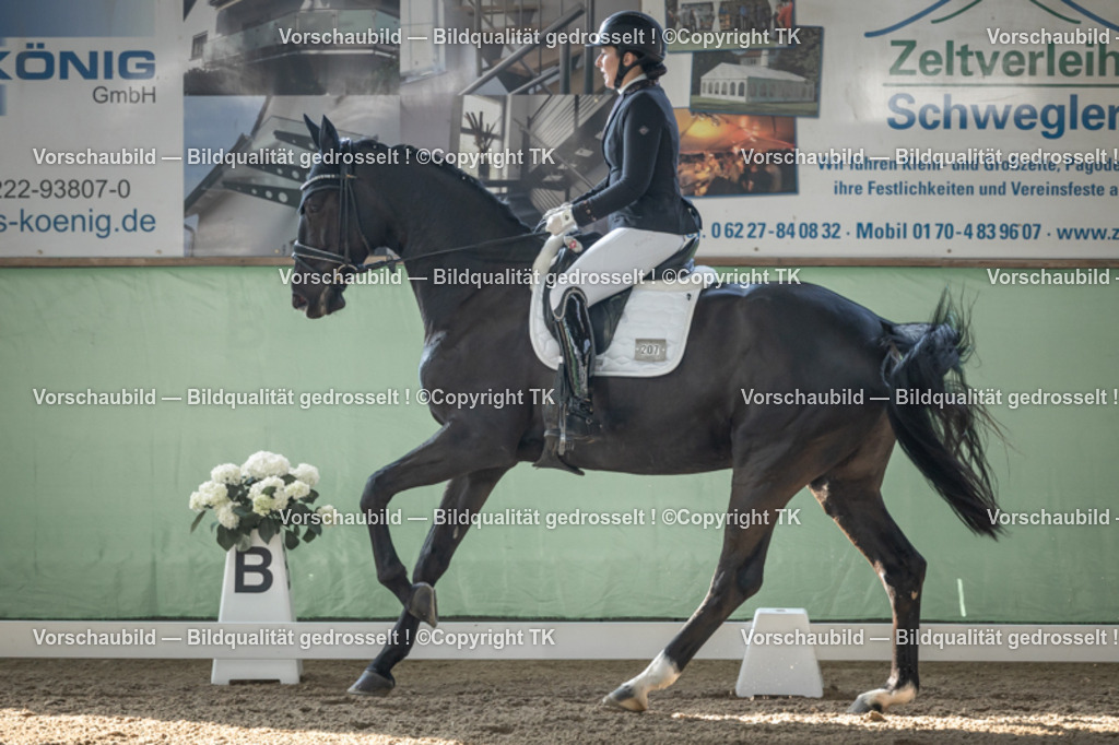 _D5A0511 | Emotionale Pferde- & People-Fotografie rund um Heidelberg, Leimen & Umgebung. Natürliche Fotos von Pferd, Mensch & Familie. Jetzt Termin sichern!