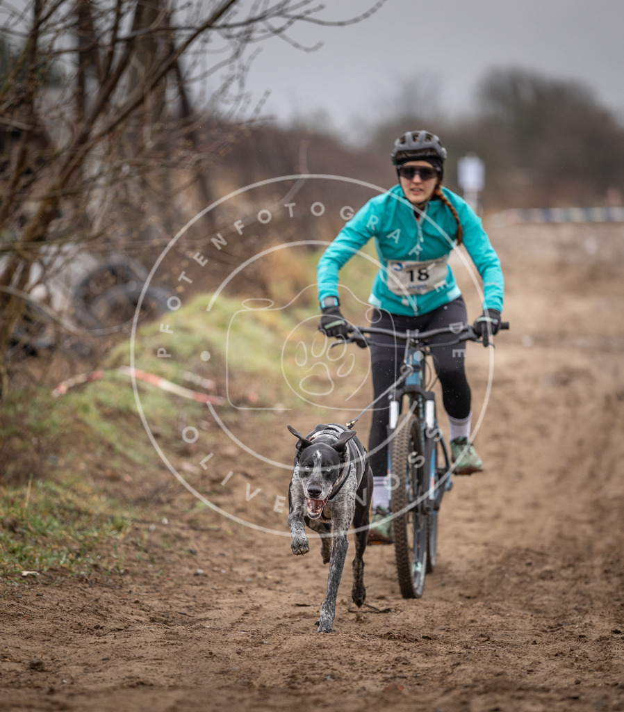 DV3A9004 | Hundefotografie, Tierfotograf, Pfotenfotografie, Fotoshooting Hund, Hunde Portrait, Hundesport, Hundeportraits, Heideshooting, Hunde, Sportfotograf, Hundefotograf, Turnierhundsport, THS,  - Realisiert mit Pictrs.com