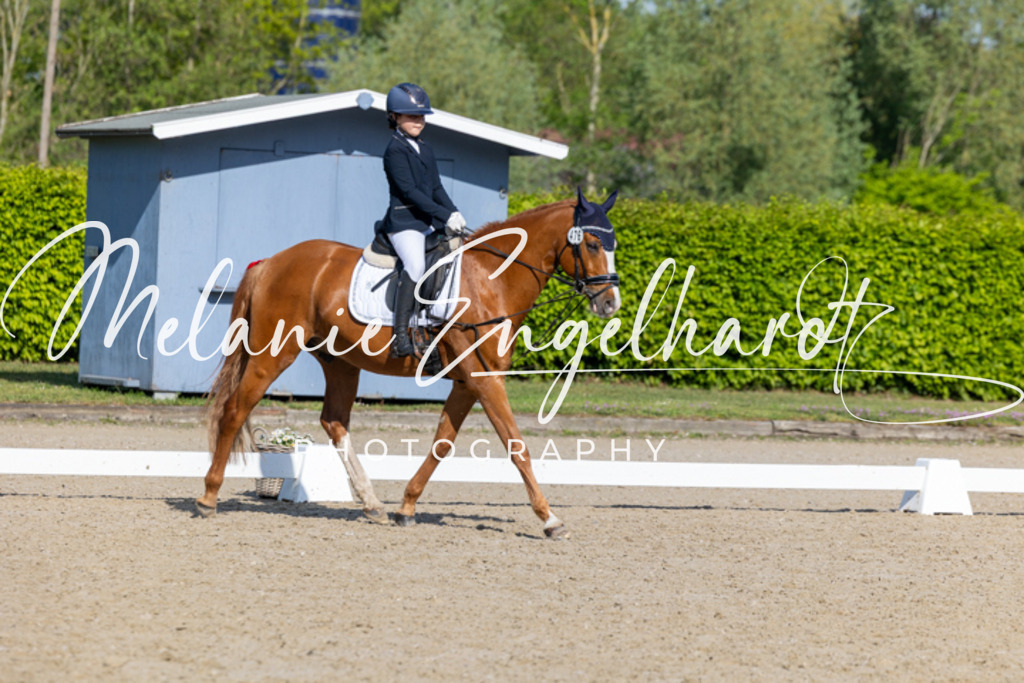 7I8A2278 | melanie-engelhardt-photography - Realisiert mit Pictrs.com