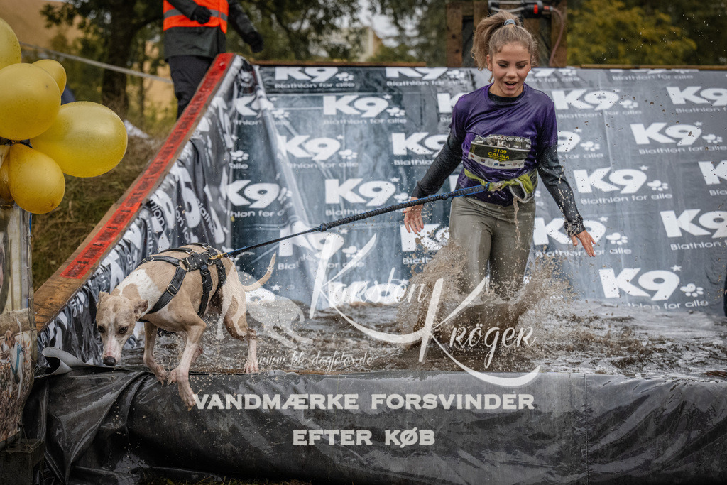 1155_ZZ93905 | kk-dogfotos