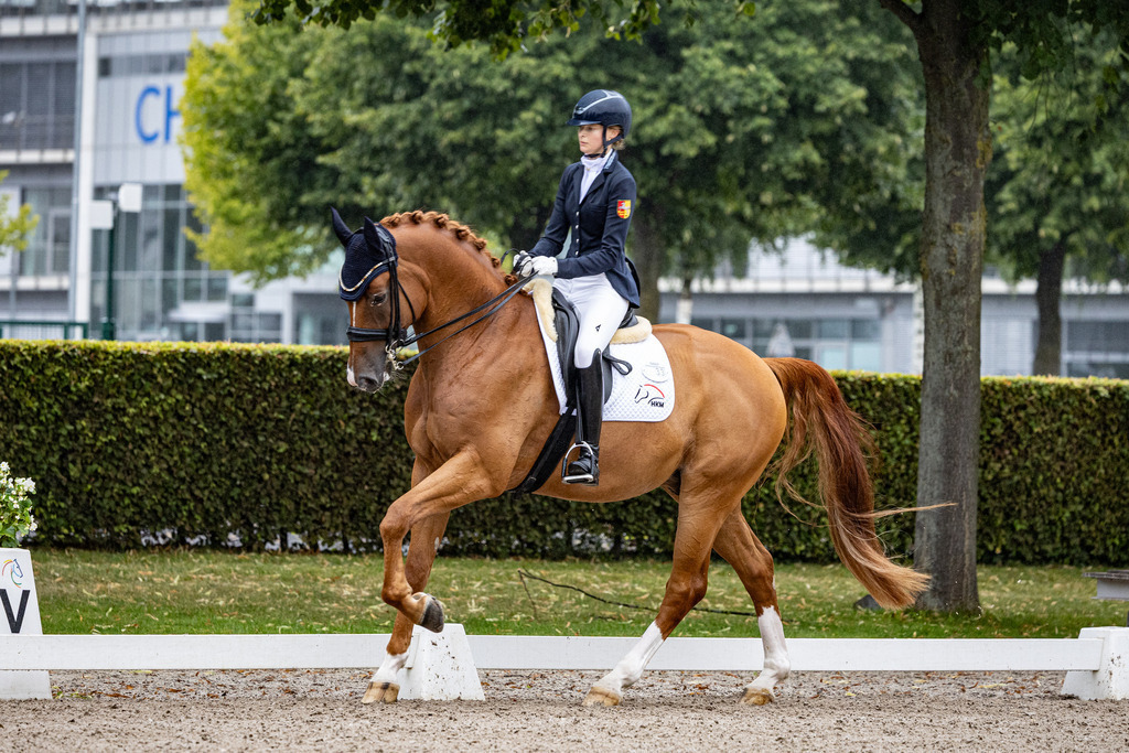 126A4392 | jasminmetznerfotografie