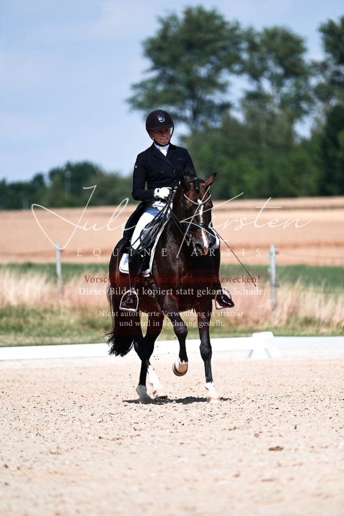 DSC_2975 | Pferde- und Turnierfotografie in Westsachsen. Pferdeportraits, Auftragszeichnungen und intuitive Kunst.