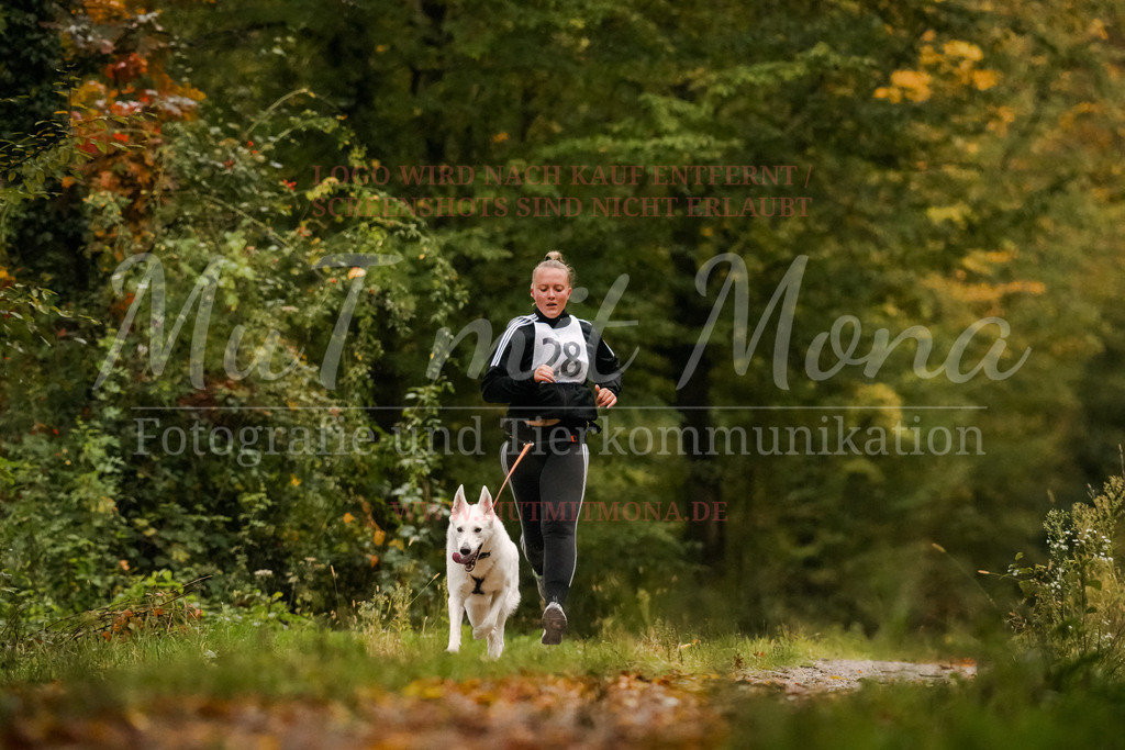 20251005_THS_Turnier-12 | MuT (Mensch und Tier) mit Mona - Fotografie und Tierkommunikation - Realisiert mit Pictrs.com