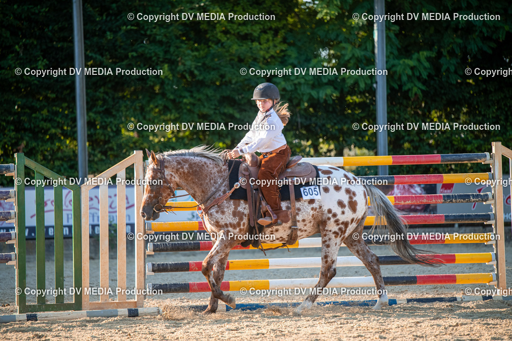 EWP_7235 | dv-media-shop - Realisiert mit Pictrs.com