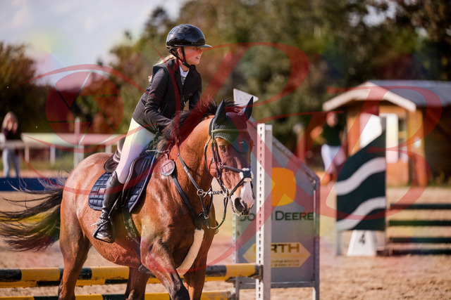 2026_10_03_Siefer-Hof_154631_Z81_65150581 | Professionelle Reitsport-, Turnier- und Eventfotografie von Robert Broda. Galerien mit ausgewählten und bearbeiteten Bildern direkt online ansehen und bestellen.