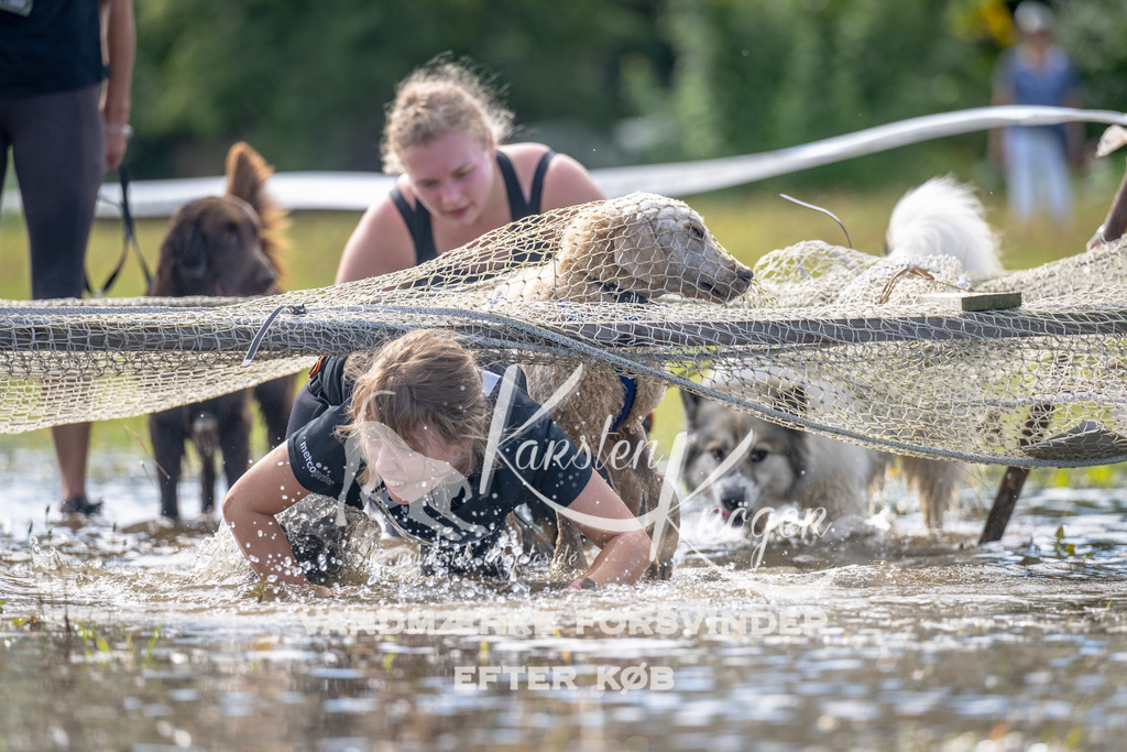 1217_ZZ93511 | kk-dogfotos