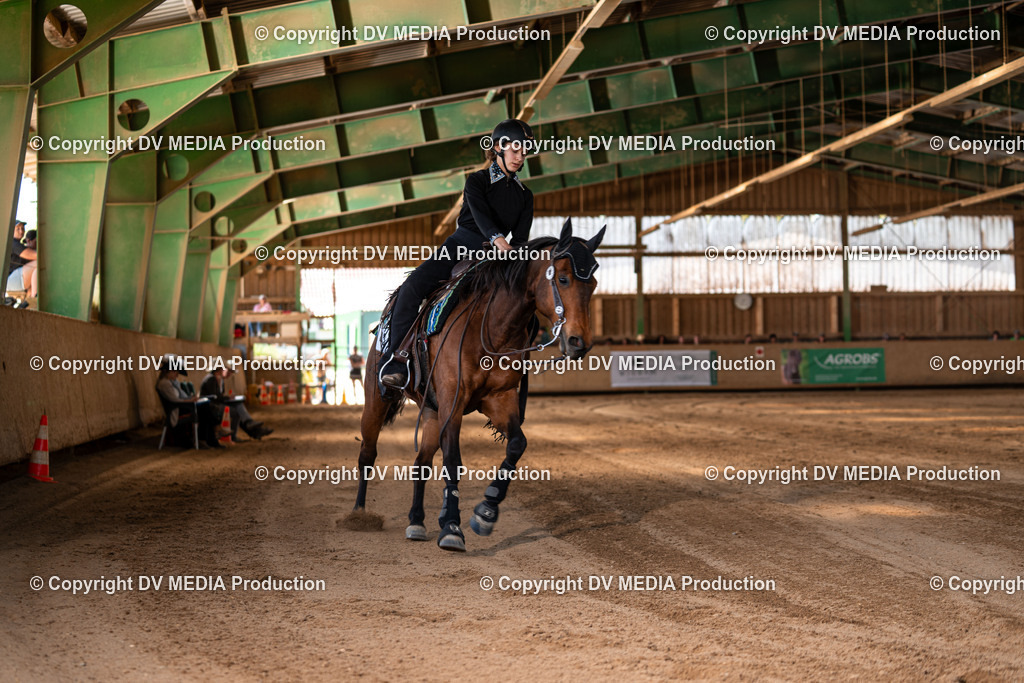 Balingen Tag 2-1282 | dv-media-shop - Realisiert mit Pictrs.com