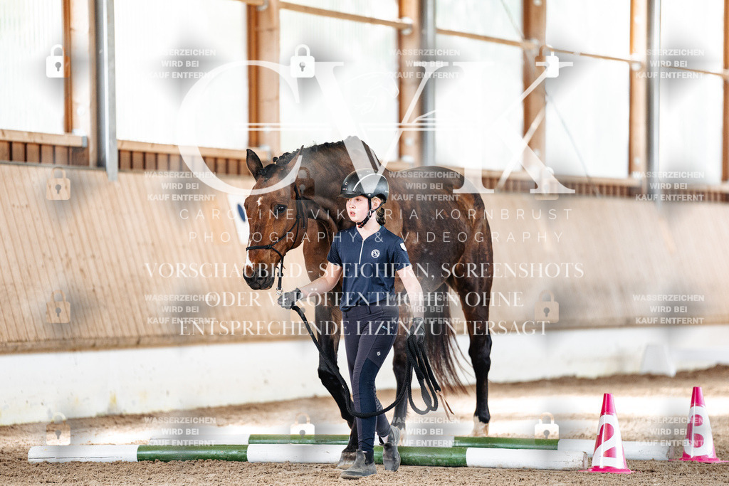 CK905759 | Turnierfotografie Pferdefotografie Trier Rheinland-Pfalz Pferdesport Reitsport Tierfotografie Sportfotografie Pferdevideo Pferdevideografie Equestrianvideography equestrianphotography  - Realisiert mit Pictrs.com