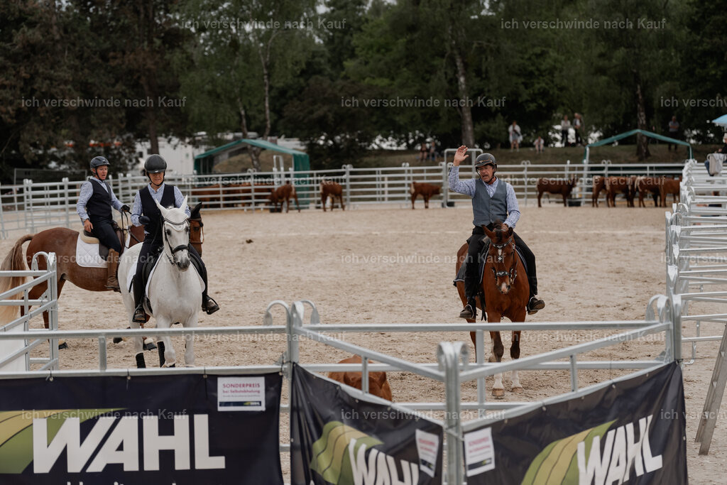 WE__Stoib_Rinder_PI2025_3059 | Pferd International München 2025