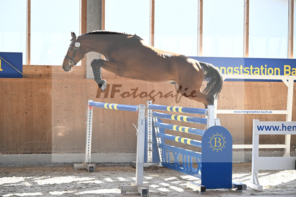 Kat-Nr. 58 Tares Z v. Taycan B_Schaedelbauer_14261666 | hf-fotografie - Realizzato con Pictrs.com