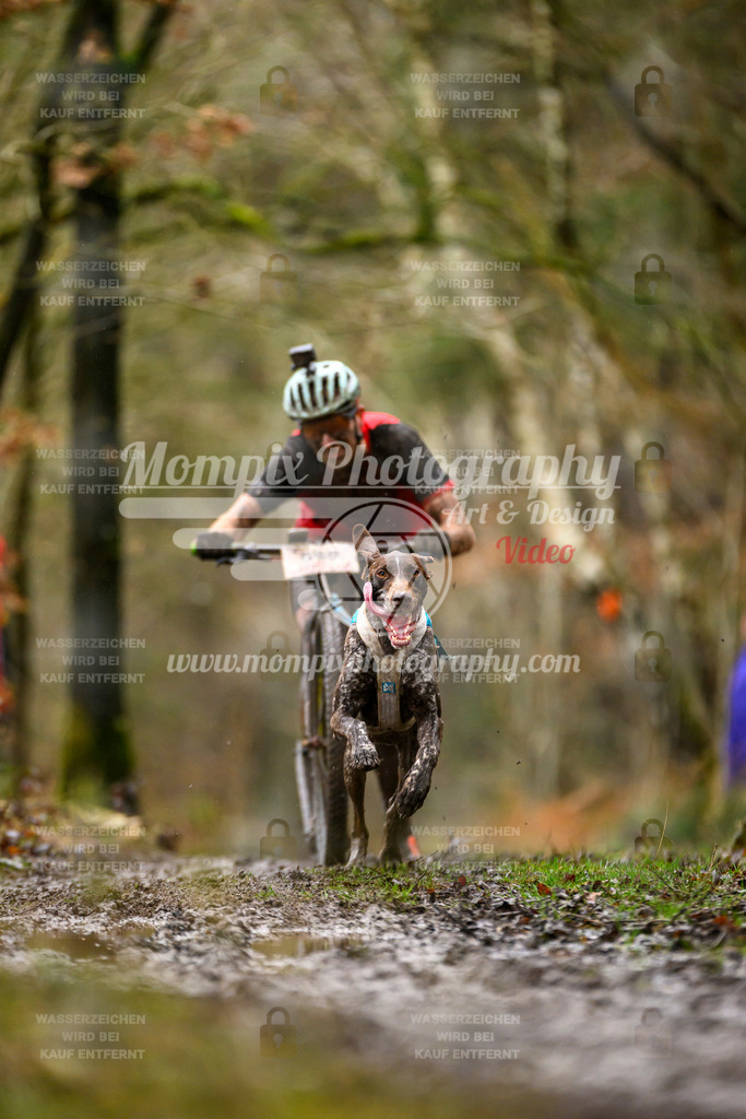 MompixPhotography_CDSM24_SA_DS1-27 | PayLife