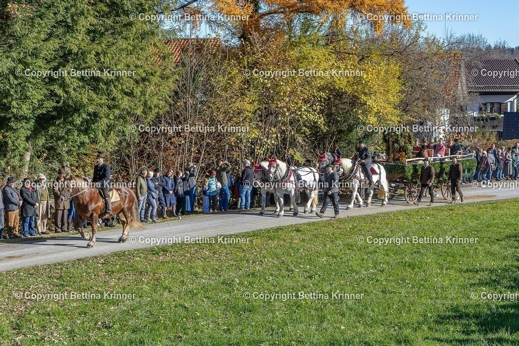 LBT25-585 | foto-bettina-krinner - Realisiert mit Pictrs.com