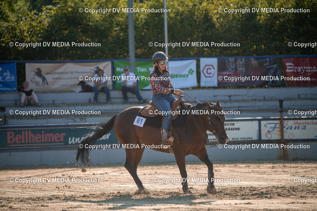 ZS2_8964 | dv-media-shop - Realisiert mit Pictrs.com