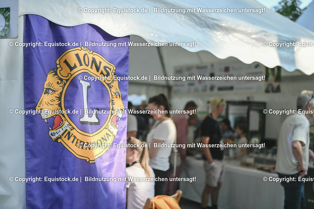 D78_3803 | equistock